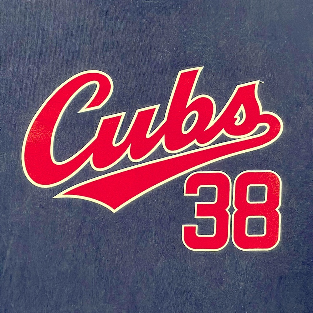 Cubs Zambrano 38